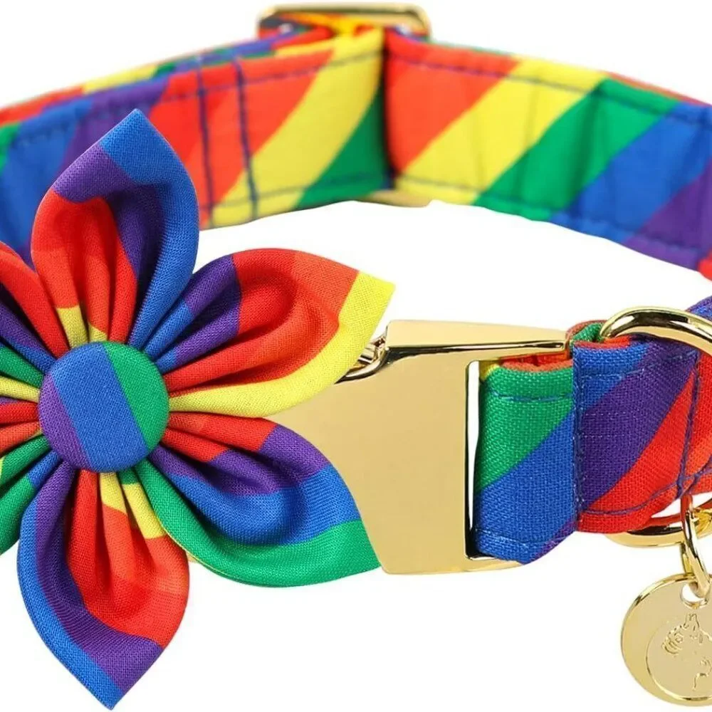 Rainbow Bright Dog Collar and dog collar attachment  NEW  Sz M